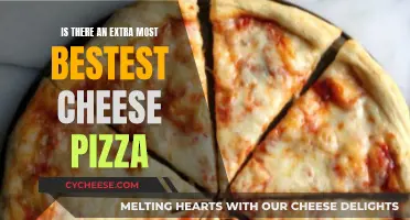 What's the Absolute Bestest Cheese Pizza?