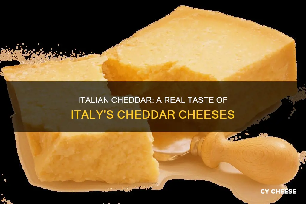 is there an italian cheddar cheese