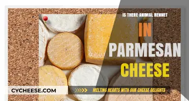 Parmesan Cheese: Rennet's Animal Source
