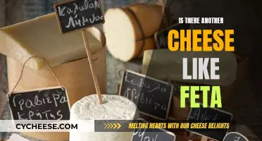 Feta's Unique Taste: Are There Similar Cheeses?