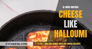 What Cheeses Can You Swap for Halloumi?