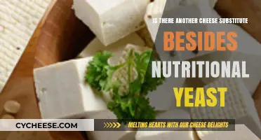 Beyond Nutritional Yeast: Exploring Alternative Cheese Substitutes for Plant-Based Diets