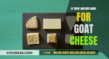 Beyond the Goat's Milk: Exploring Alternative Names for Cheesy Delight