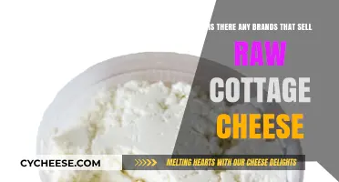 Where to Buy Raw Cottage Cheese: Top Brands and Options