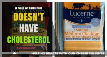 Cholesterol-Free Cheese Options: Discover Heart-Healthy Dairy Choices