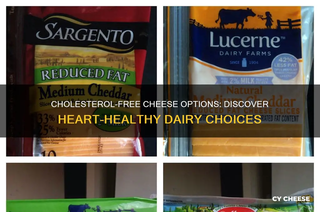 is there any cheese that doesn