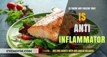 Anti-Inflammatory Cheese: Discover Dairy Options for a Healthier Diet