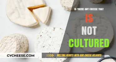 Uncultured Cheese: Exploring Non-Cultured Varieties and Their Production