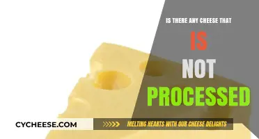 Exploring Natural Cheese Options: Unprocessed Varieties You Can Trust