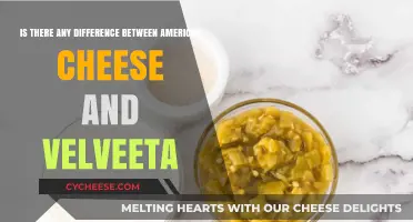 American Cheese vs. Velveeta: Uncovering the Melty Truth