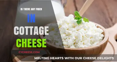 Does Cottage Cheese Contain Fiber? Uncovering Nutritional Facts and Benefits