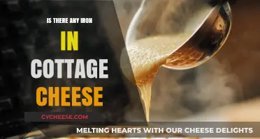 Does Cottage Cheese Contain Iron? Nutritional Insights and Benefits