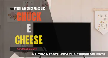 Chuck E. Cheese's Unique Business Model: Any Competitors?