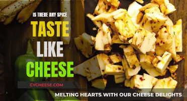 Cheese-like Spice: What's the Secret Behind This Unique Taste?