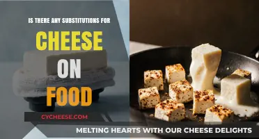 Cheese-Free Delights: Discover Tasty Substitutes for Your Favorite Foods