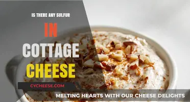 Sulfur in Cottage Cheese: Fact or Fiction? Uncovering the Truth