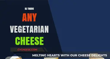 Exploring Vegetarian Cheese Options: Are They Truly Meat-Free?