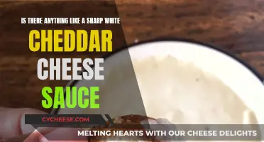 The Ultimate Guide to Cheddar Sauce: Is It Possible?