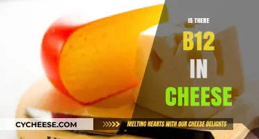 Does Cheese Contain Vitamin B12? Uncovering Nutritional Facts