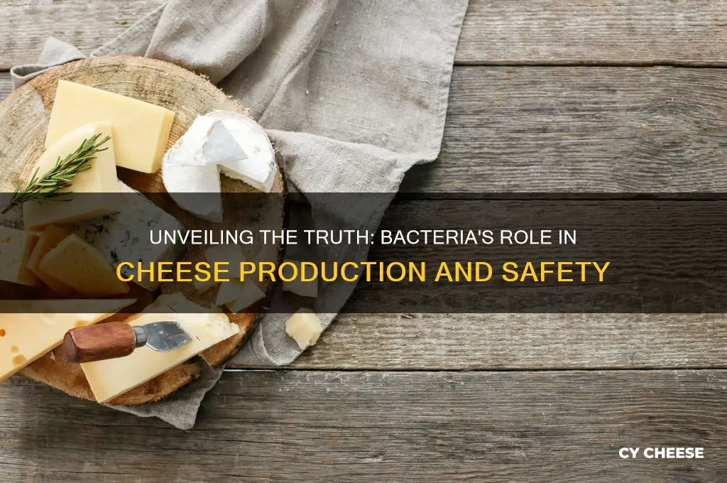 is there bacteria in cheese
