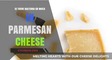 Parmesan Cheese: Bacteria and Mold Growth
