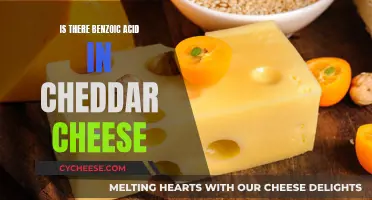 Unveiling the Mystery: Benzoic Acid in Cheddar Cheese