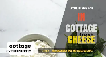 Is Benzoic Acid in Cottage Cheese? Uncovering the Truth