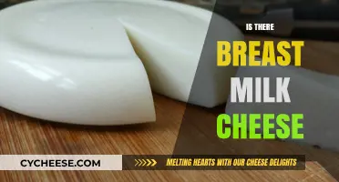 Breast Milk Cheese: Exploring the Unusual and Controversial Delicacy