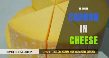 Exploring the Surprising Presence of Carbon in Cheese: Facts Revealed