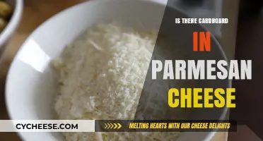 Parmesan Cheese: Cardboard or Not?