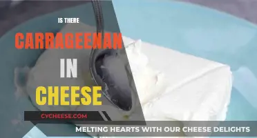 Is Carrageenan in Cheese? Uncovering the Truth About This Additive