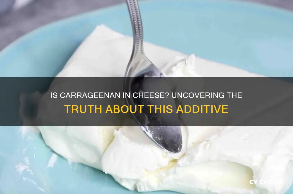 is there carrageenan in cheese