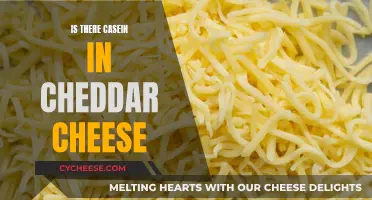 Casein in Cheddar: Unraveling the Protein Mystery