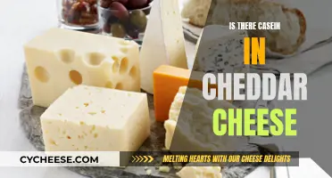 Cheddar Cheese: Casein Content and Its Implications