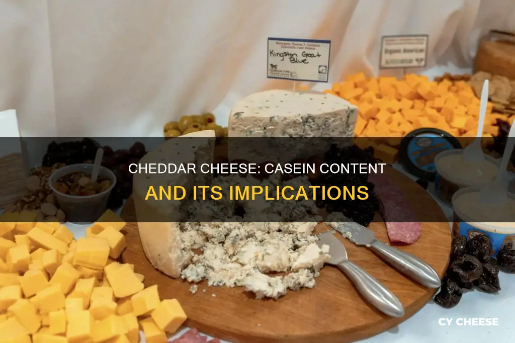 is there casein in cheddar cheese