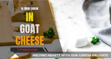 Unveiling the Casein Mystery: Goat Cheese's Surprising Secret