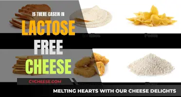 Casein and Lactose Free Cheese: What's the Deal?