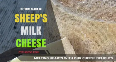 Sheep's Milk Cheese and Casein: What You Need to Know
