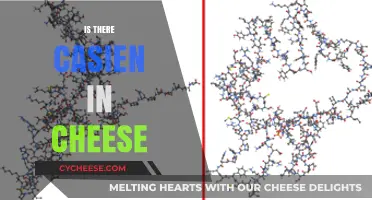 Does Cheese Contain Casein? Uncovering the Truth About This Dairy Protein