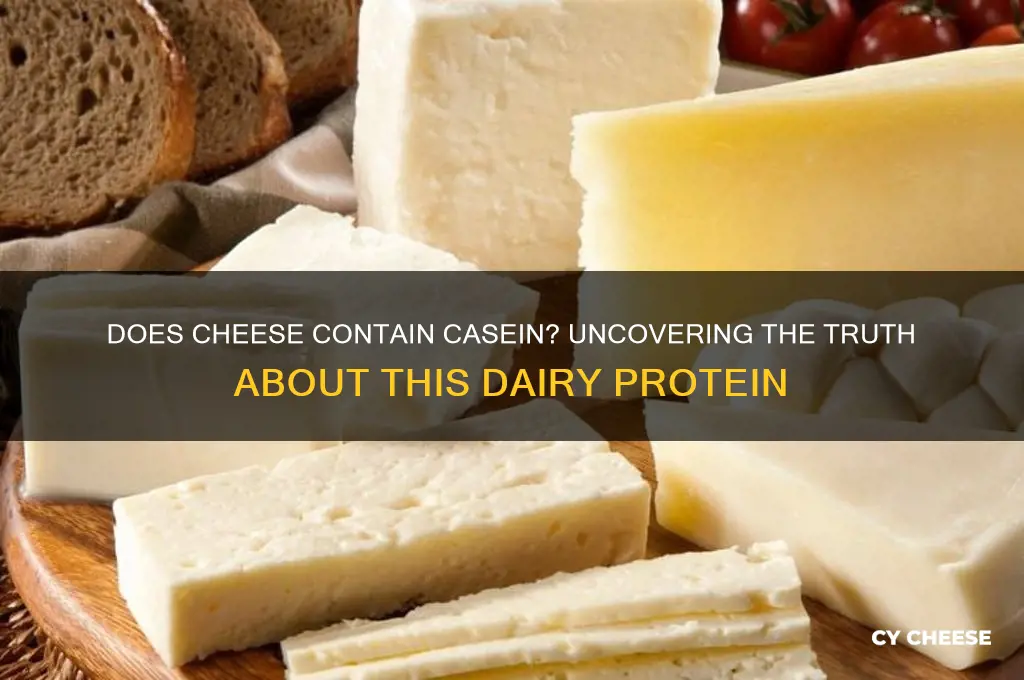 is there casien in cheese