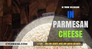 Cellulose in Parmesan Cheese: What You Need to Know