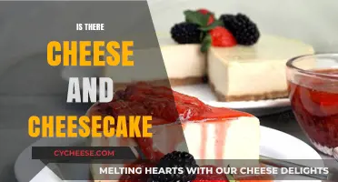 Cheese vs. Cheesecake: Unraveling the Delicious Dairy Connection