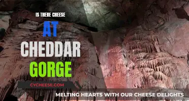 Cheddar Gorge's Cheesy Delight: A Tasty Adventure Awaits!