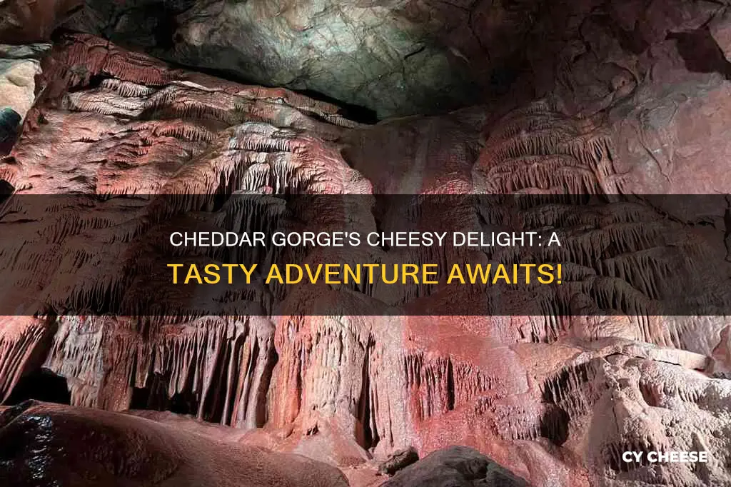 is there cheese at cheddar gorge