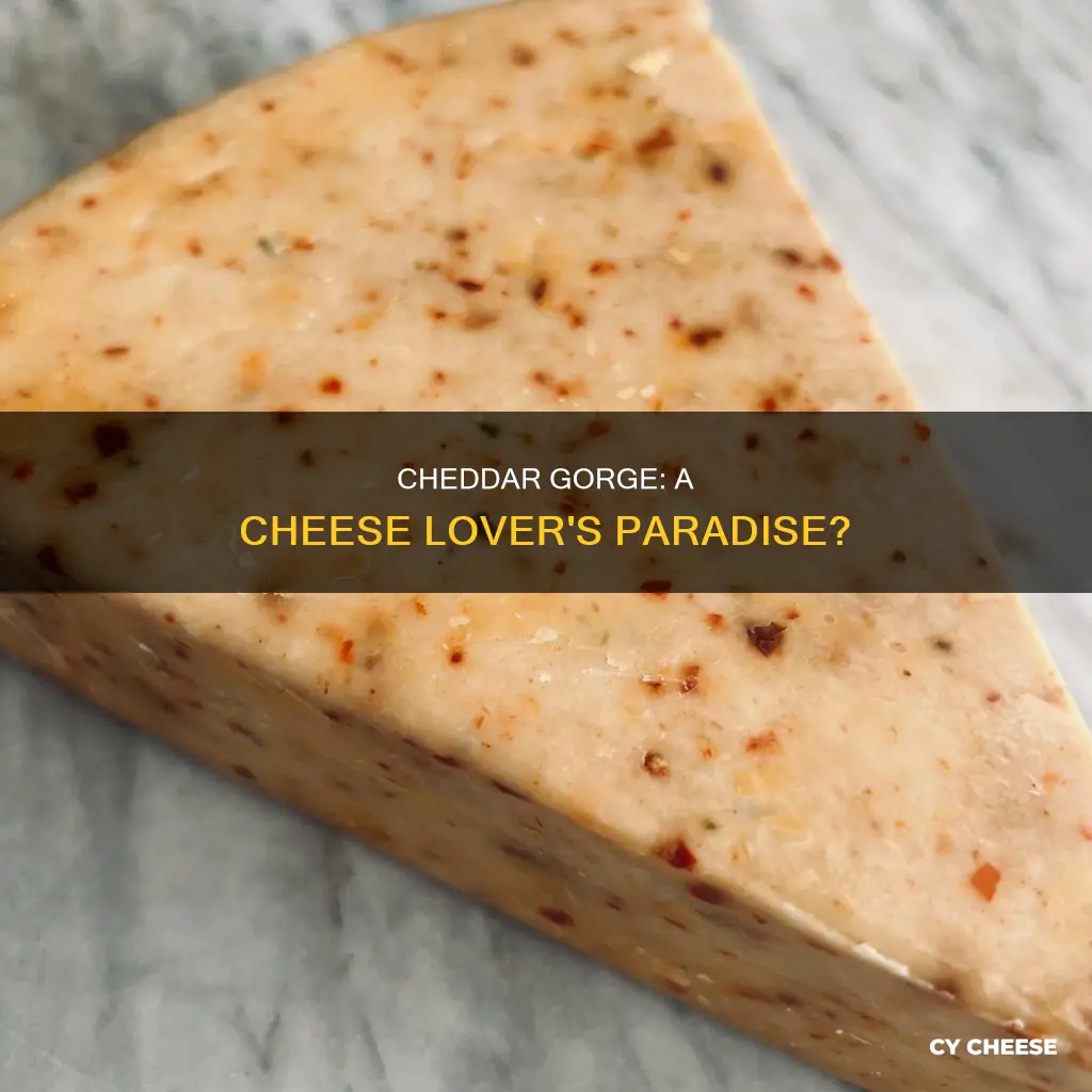 is there cheese at cheddar gorge