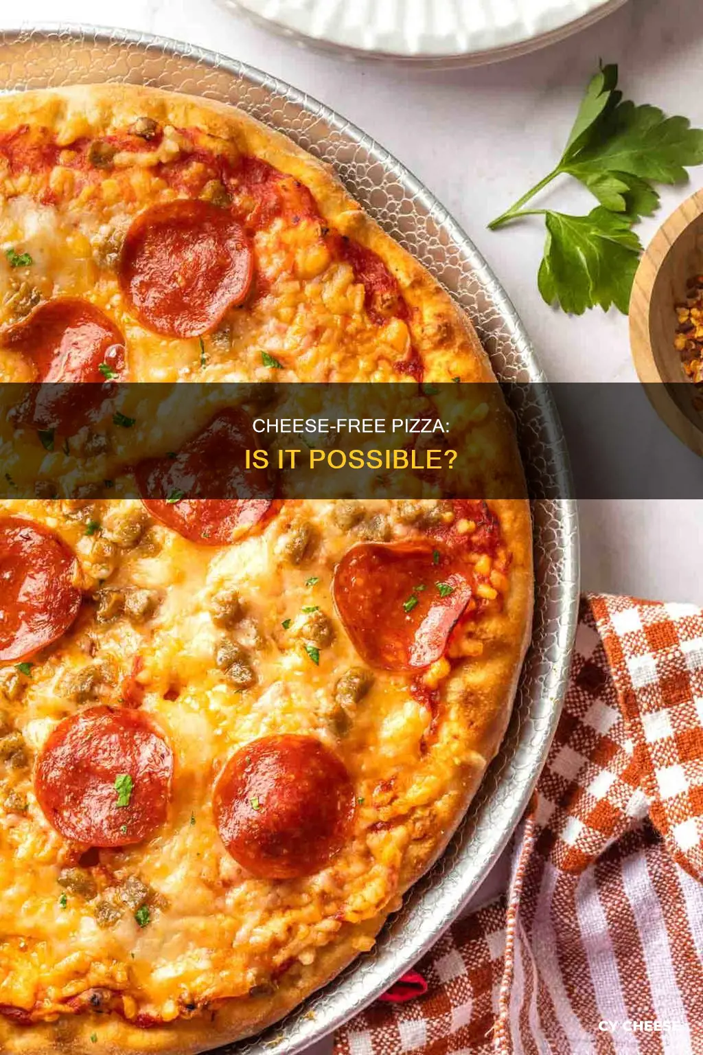 is there cheese free pizza