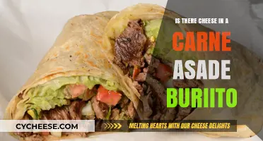 Does a Carne Asada Burrito Include Cheese? Let's Find Out!