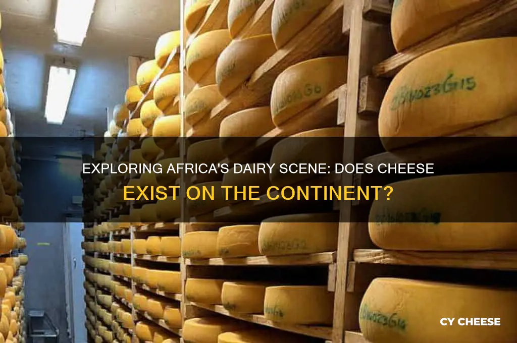 is there cheese in africa