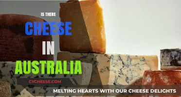 Exploring Australia's Cheese Scene: A Tasty Journey Down Under