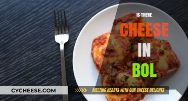 Is There Cheese in Bol? Unraveling the Mystery of This Dish